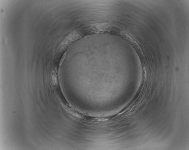 X0000069810719200605191045