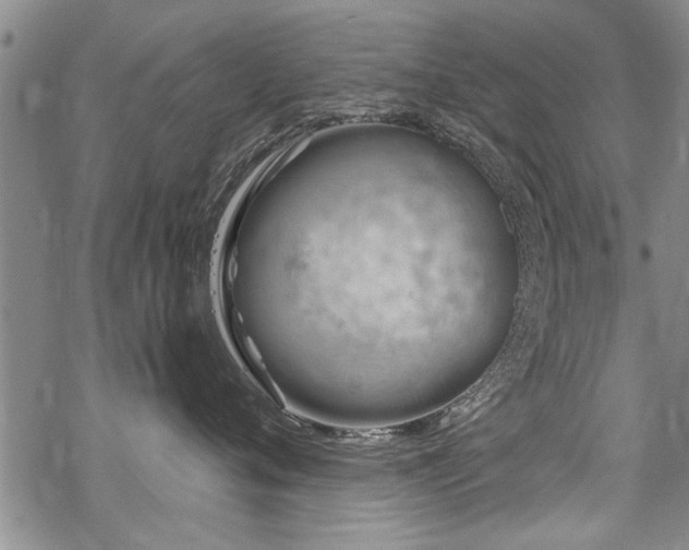 X0000069810720200605191045