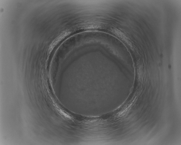 X0000069810721200605191045