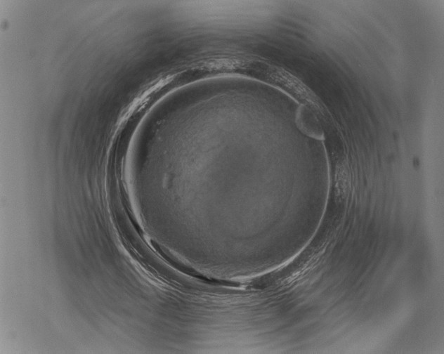 X0000069810722200605191045