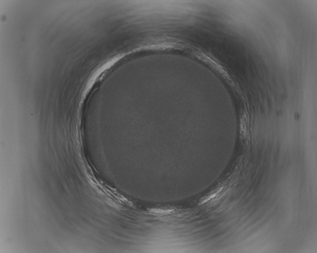 X0000069810724200605191045