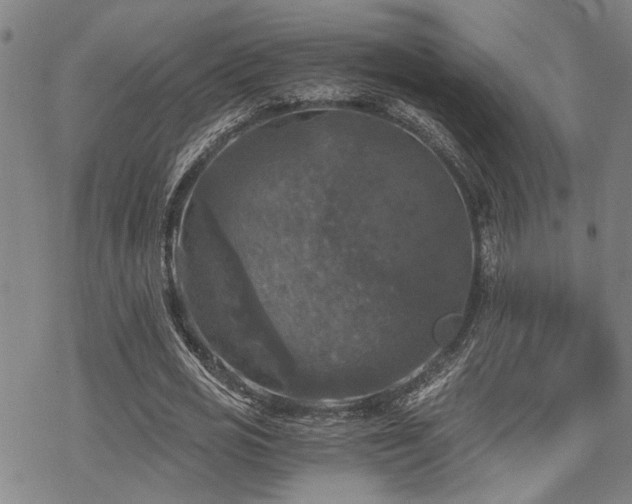 X0000069810725200605191045