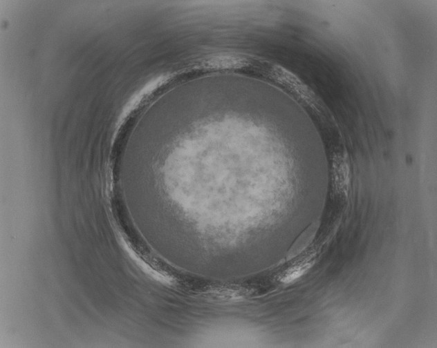 X0000069810726200605191045