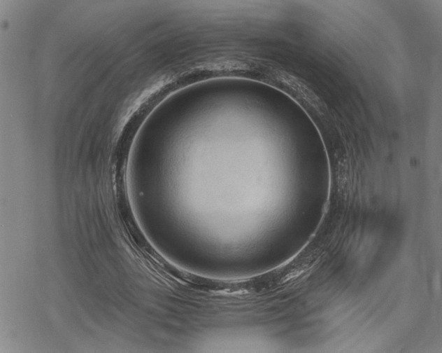 X0000069810727200605191045