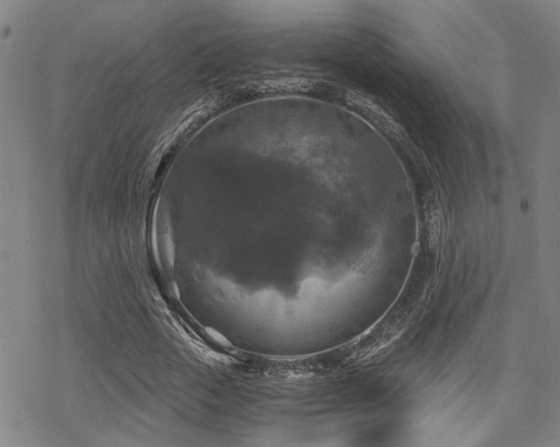 X0000069810729200605191045