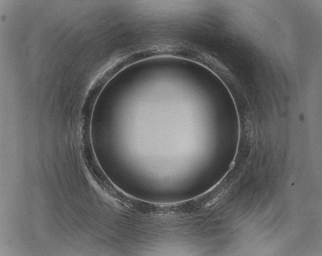 X0000069810730200605191045