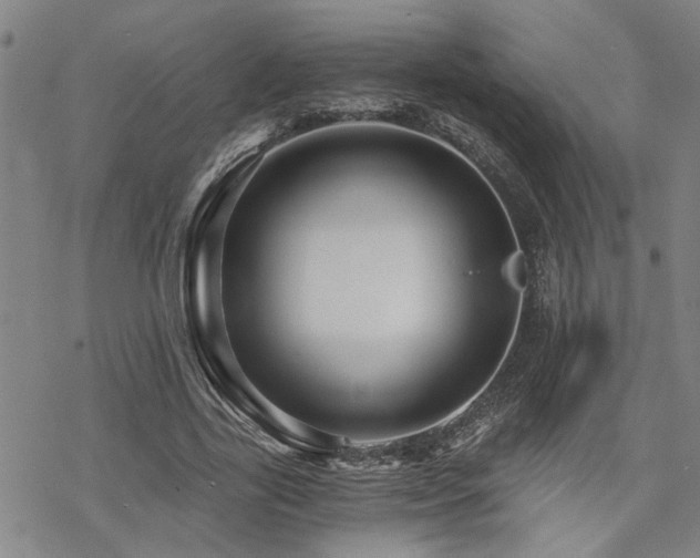 X0000069810731200605191045