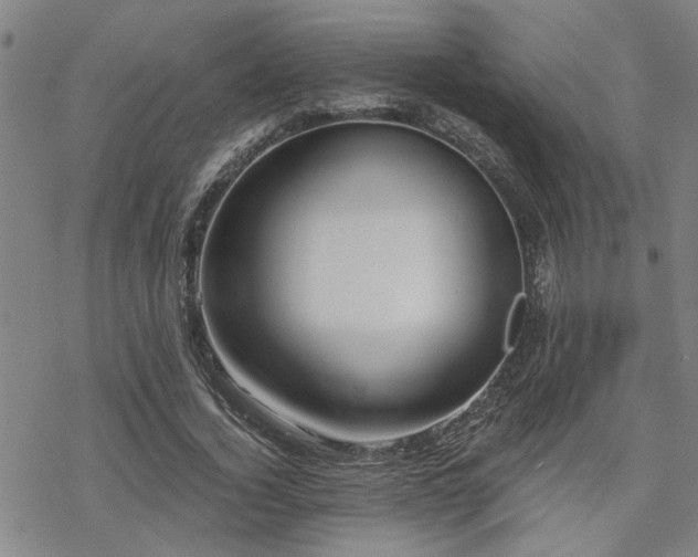 X0000069810732200605191045