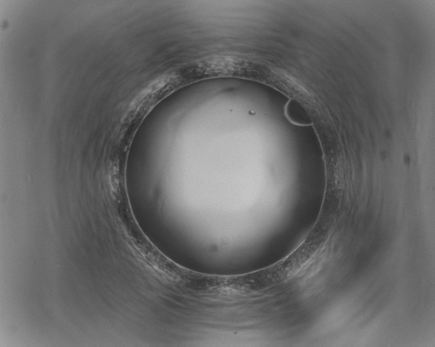 X0000069810737200605191045