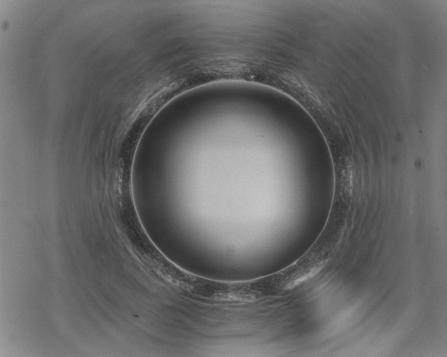 X0000069810739200605191045