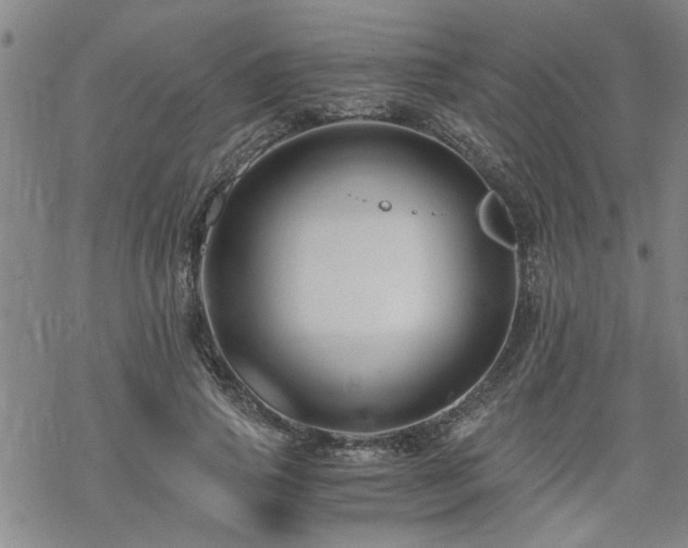 X0000069810741200605191045