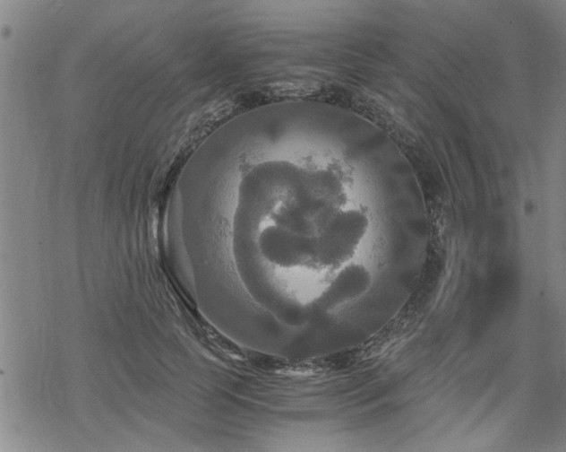 X0000069810745200605191045