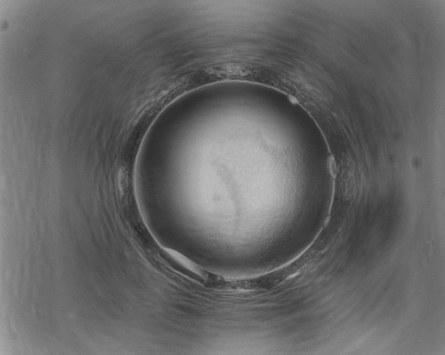 X0000069810747200605191045