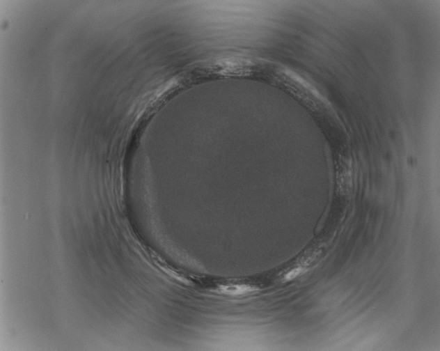 X0000069810748200605191045