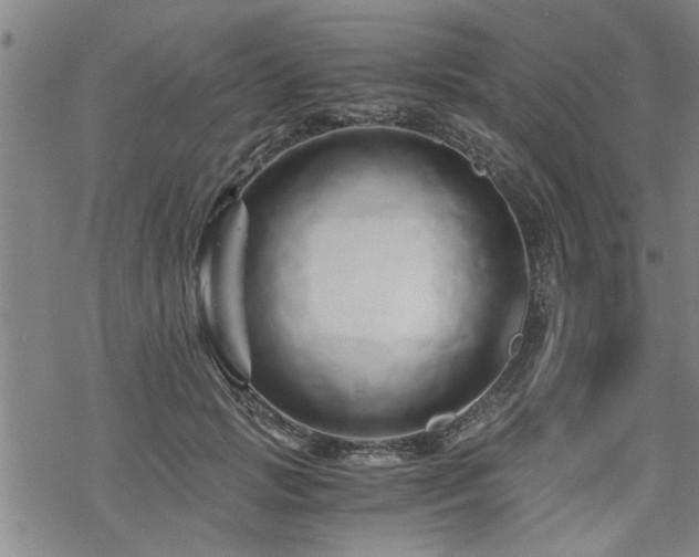 X0000069810749200605191045