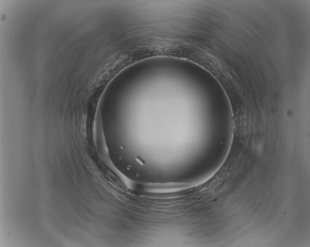 X0000069810750200605191045