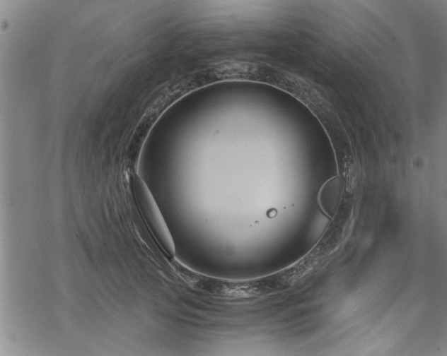 X0000069810753200605191045