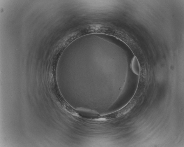 X0000069810754200605191045