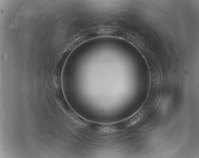 X0000069810755200605191045