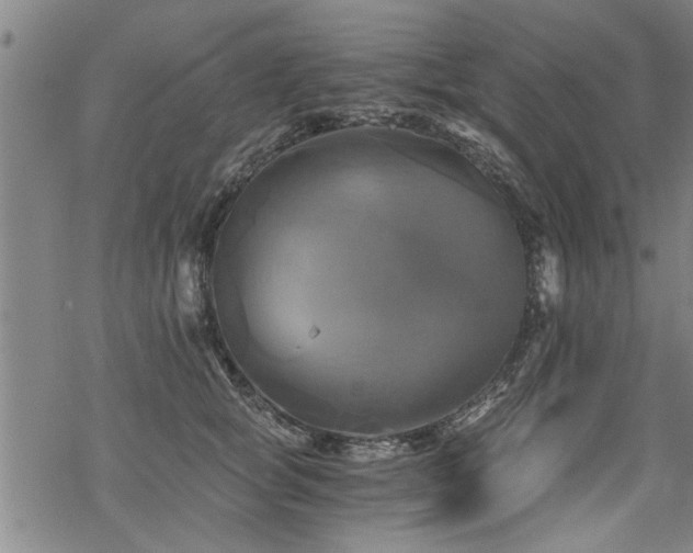 X0000069810757200605191045