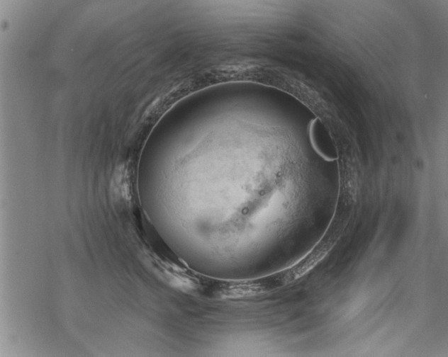 X0000069810758200605191045