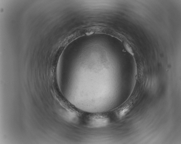 X0000069810759200605191045