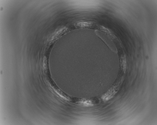 X0000069810760200605191045