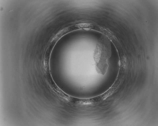 X0000069810763200605191045