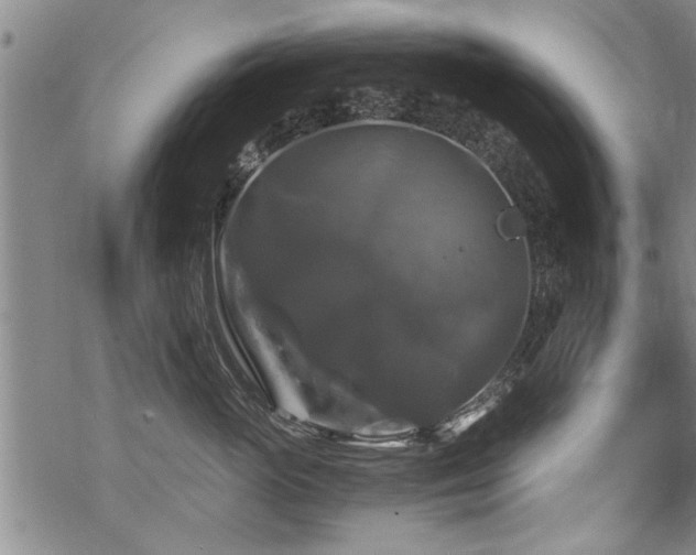 X0000069810765200605191045