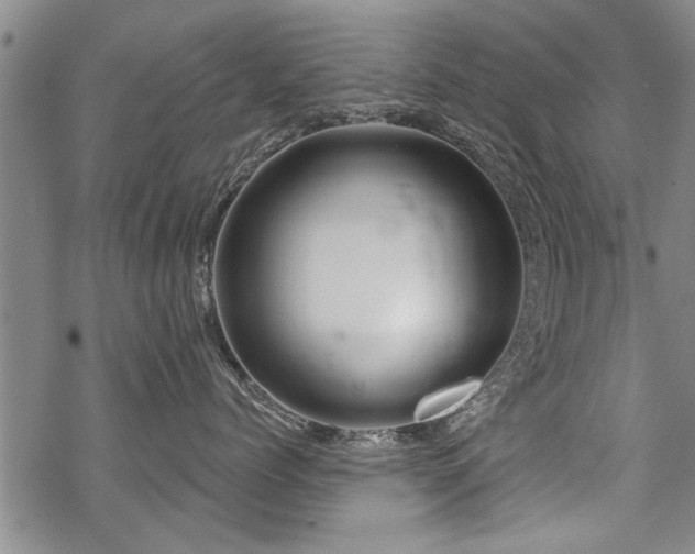 X0000069810768200605191045