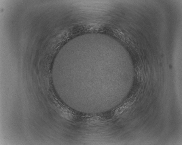 X0000069810769200605191045