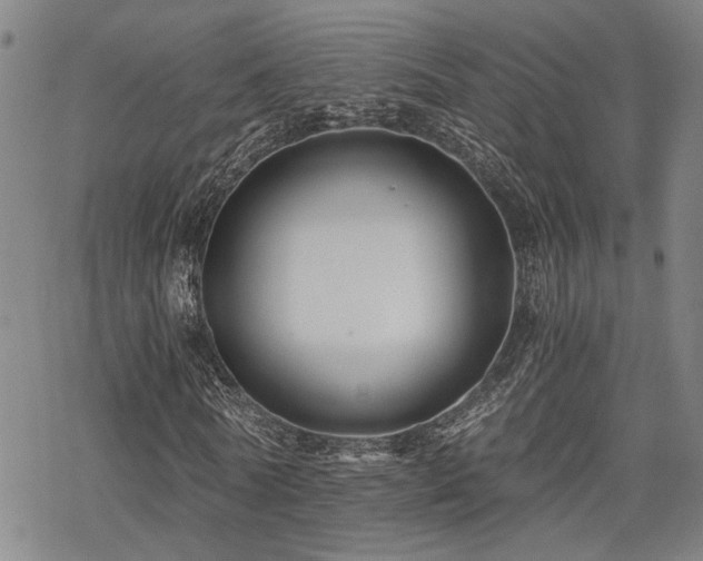 X0000069810770200605191045