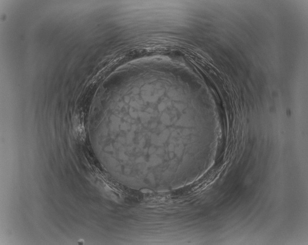 X0000069810771200605191045