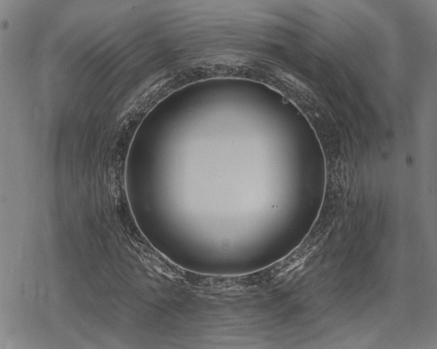 X0000069810774200605191044