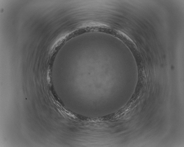 X0000069810775200605191044