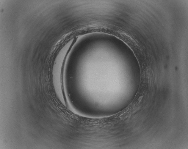 X0000069810776200605191044