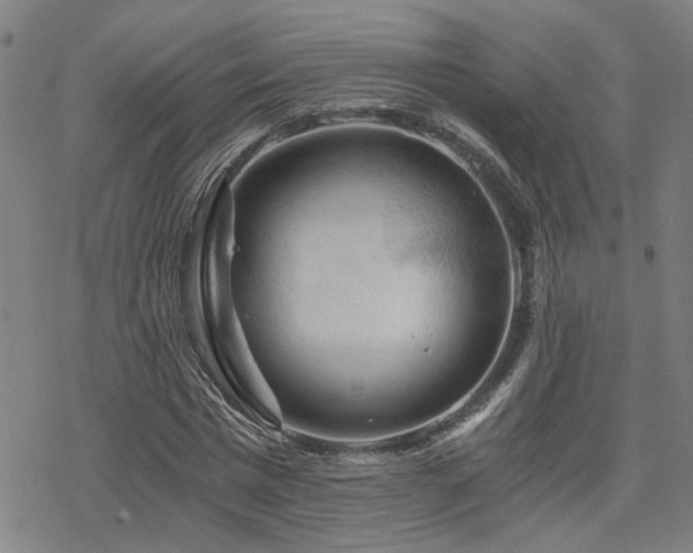 X0000069810777200605191044