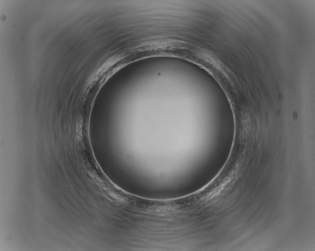 X0000069810778200605191044