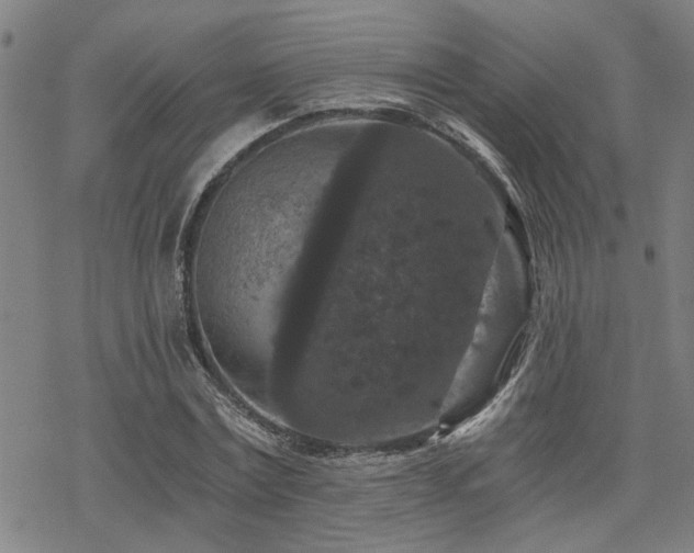 X0000069810779200605191044