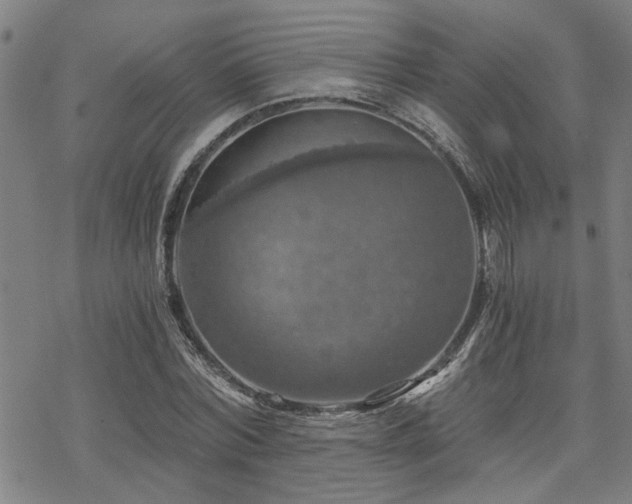 X0000069810780200605191044