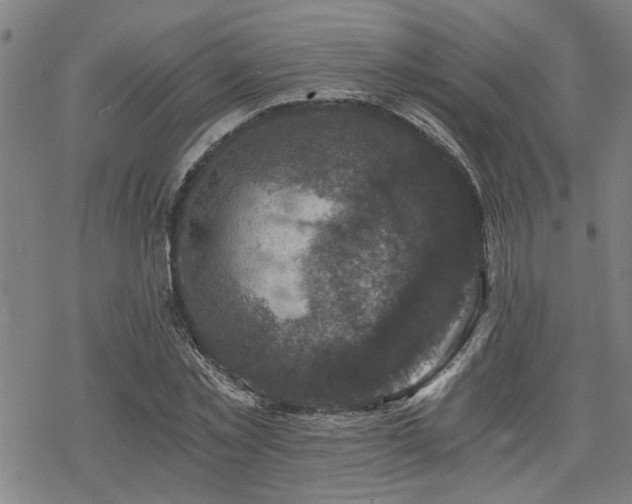 X0000069810781200605191044