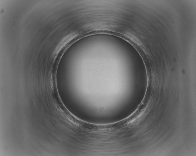 X0000069810782200605191044