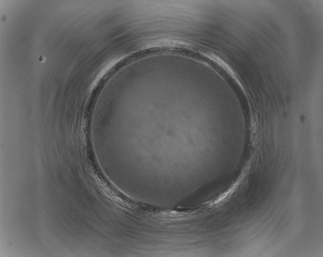 X0000069810783200605191044