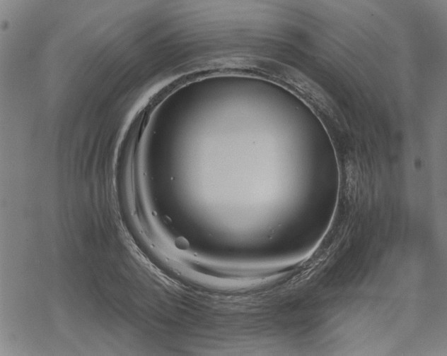 X0000069810784200605191044