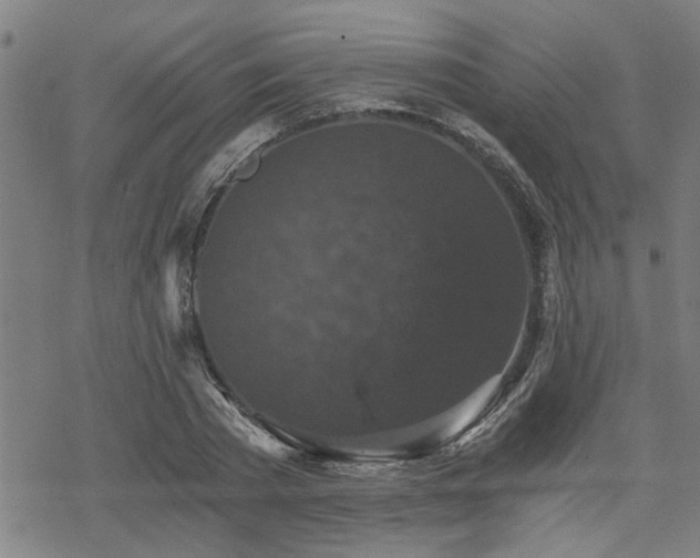 X0000069810785200605191044