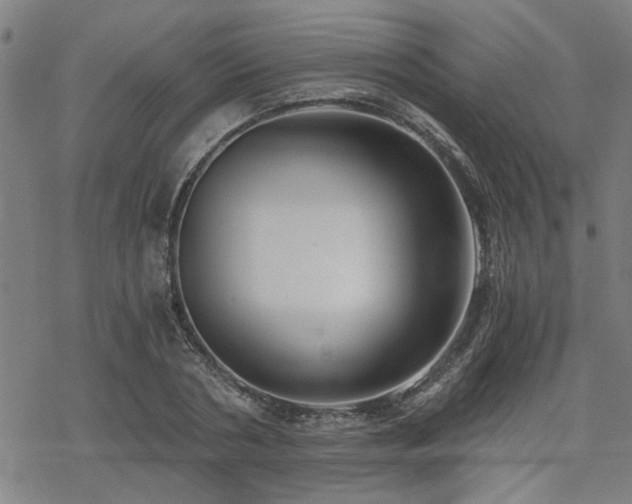 X0000069810786200605191044