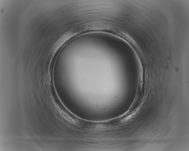 X0000069810787200605191044