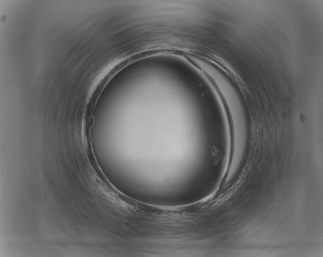 X0000069810788200605191044