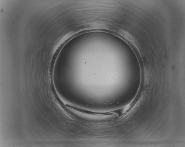 X0000069810789200605191044