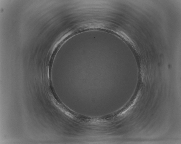 X0000069810790200605191044